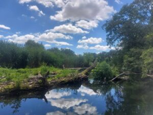 3 nap – 3 vízitúra – Baja és környéke legszebb vizein!